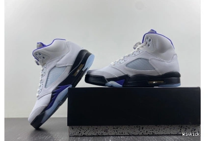 Retro Dark 5 Concord Jordan 0802